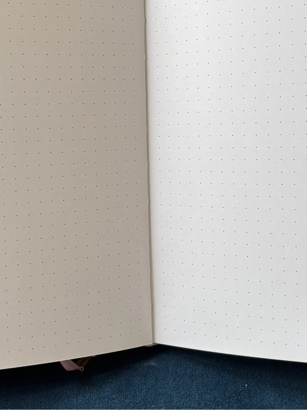Archer & Olive Field Mouse A5 Dot Grid Notebook